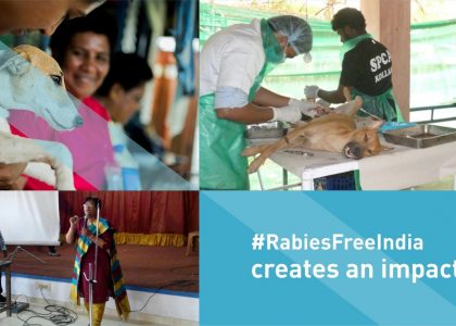 #RabiesFreeIndia creates an Impact!