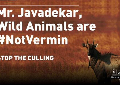 The Vermin Annihilation- Is Culling the Answer or the Question?