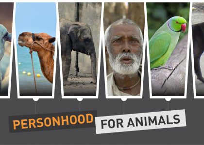 Personhood for Animals