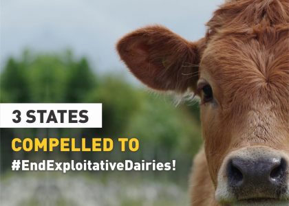 3 States Compelled to #EndExploitativeDairies!