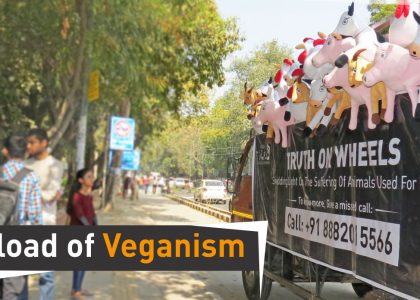 A TRUCKload of Vegan Activism!