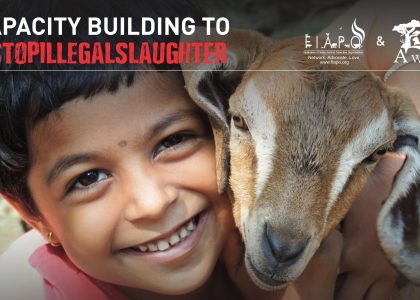 Capacity Building to #StopIllegalSlaughter