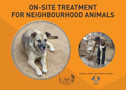 ON-SITE TREATMENT FOR NEIGHBOURHOOD ANIMALS