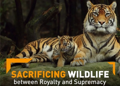 Sacrificing wildlife between royalty and supremacy