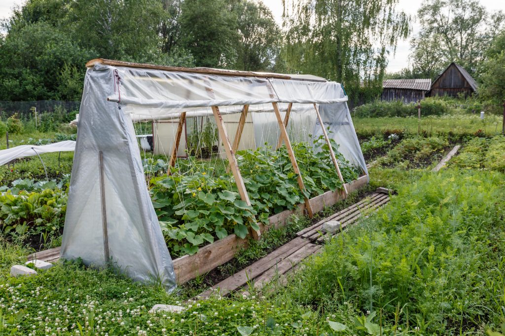 Парник для огурцов с откидной крышкой своими руками из дерева фото